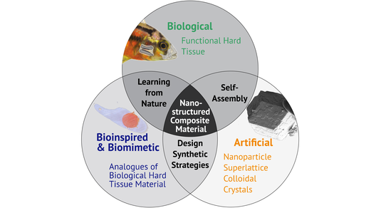 Overview of the research topics of the Nanomin Group.  The research centers around the intersecting topics of biological, biomimetic, and artifical nanostructured mineral-based materials.
